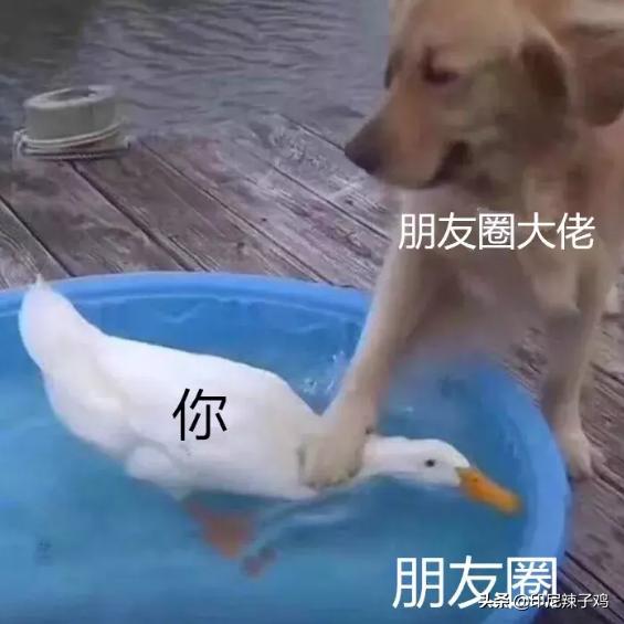 当代年轻人的虚假朋友圈,打脸来的猝不及防,笑到窒息,哈哈哈