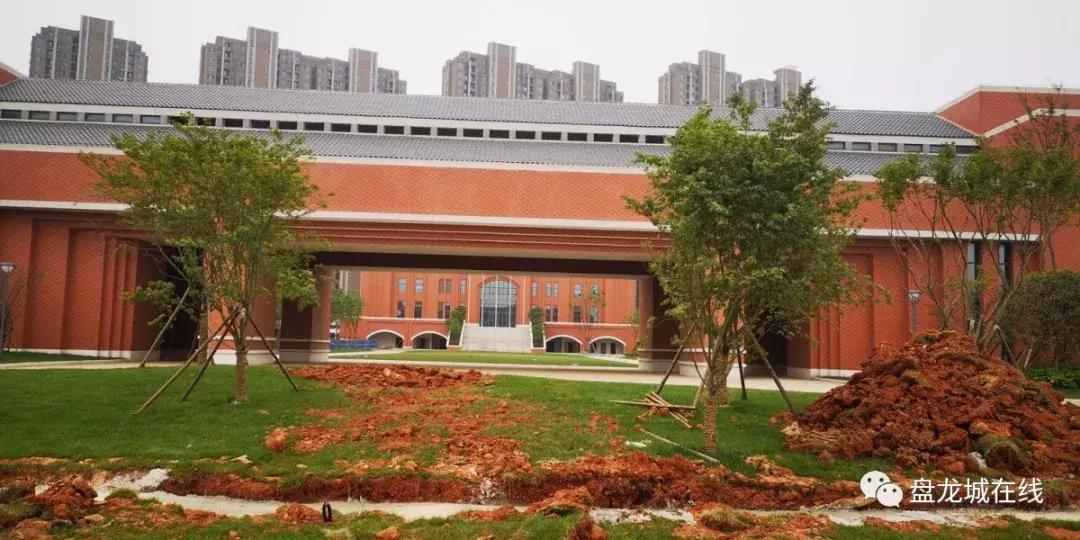 卓尔足球场建设进度,盘龙城卓尔足球学校