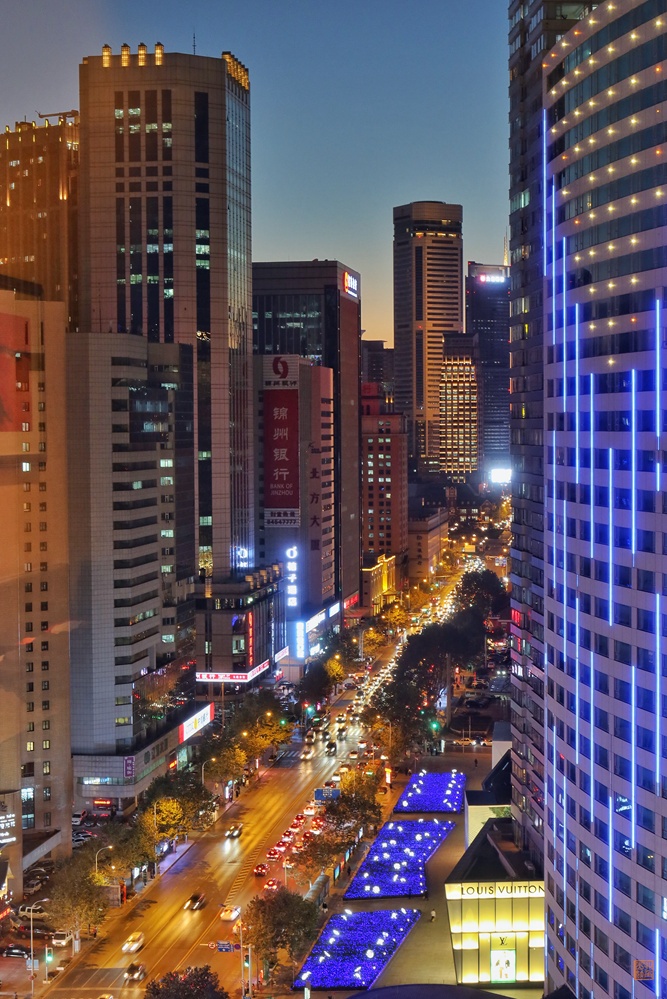 不能飞去巴黎伦敦，不如到大连喂鸽子，赏海景吃海鲜