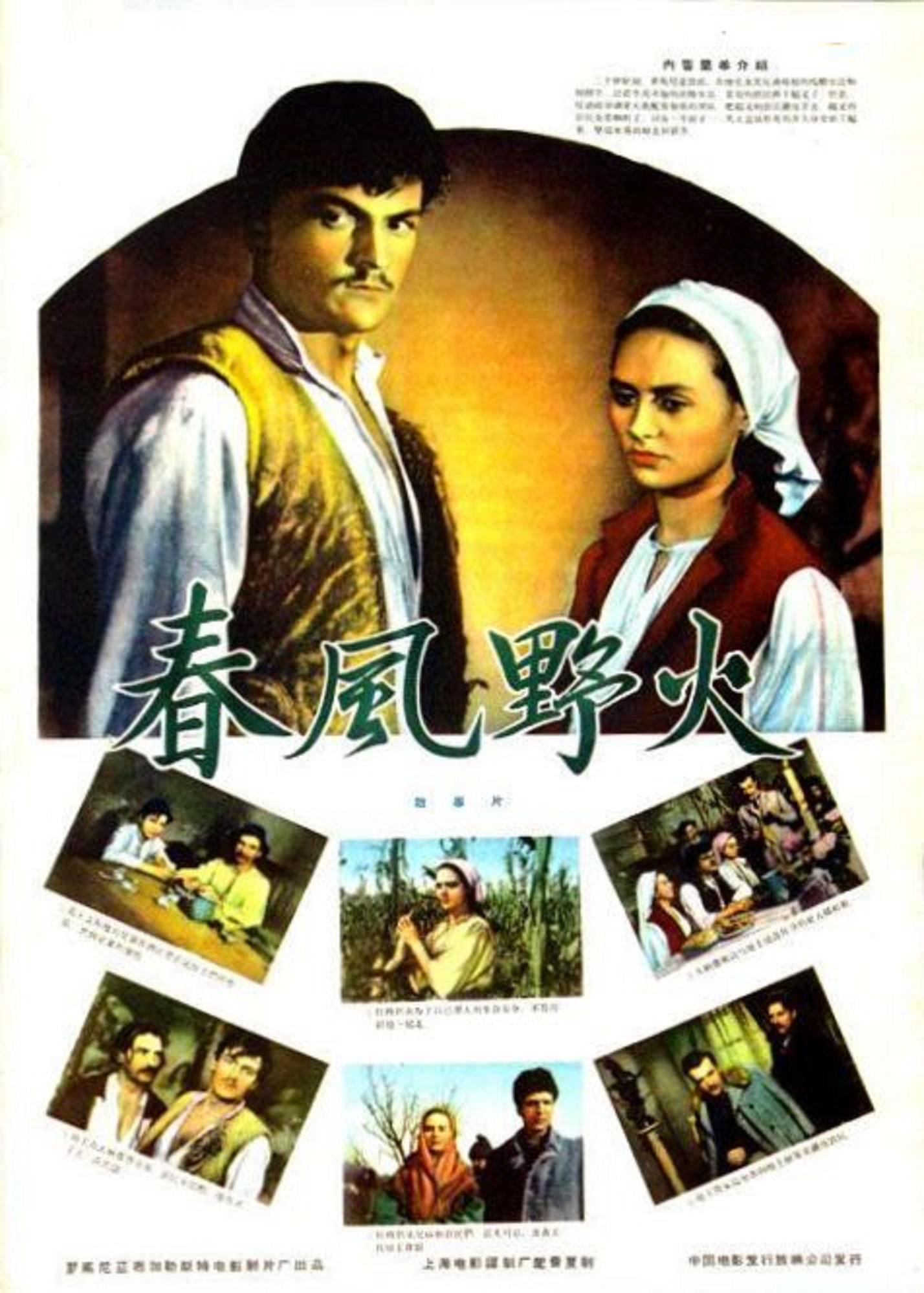 罗马尼亚电影《爆炸》中的水手，竟然是由“神秘的黄玫瑰”出演的