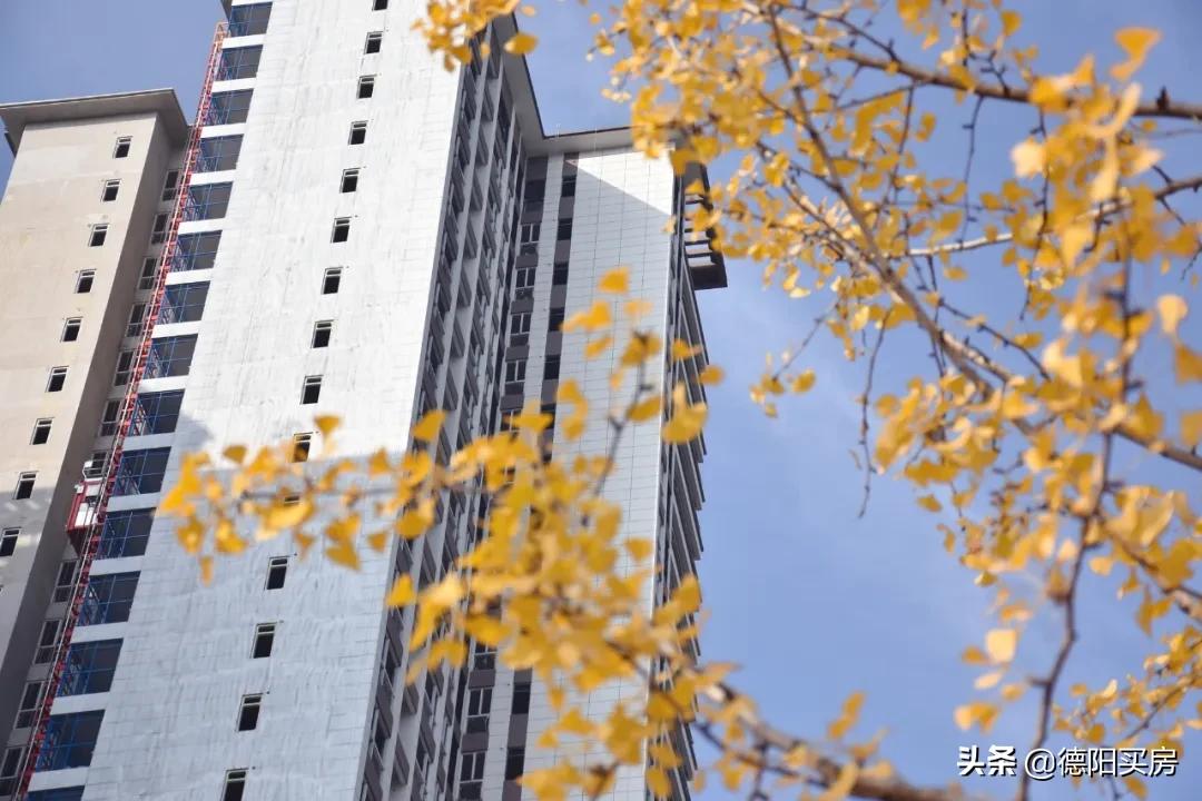 汇乐上院新闻,汇乐上院元宵节