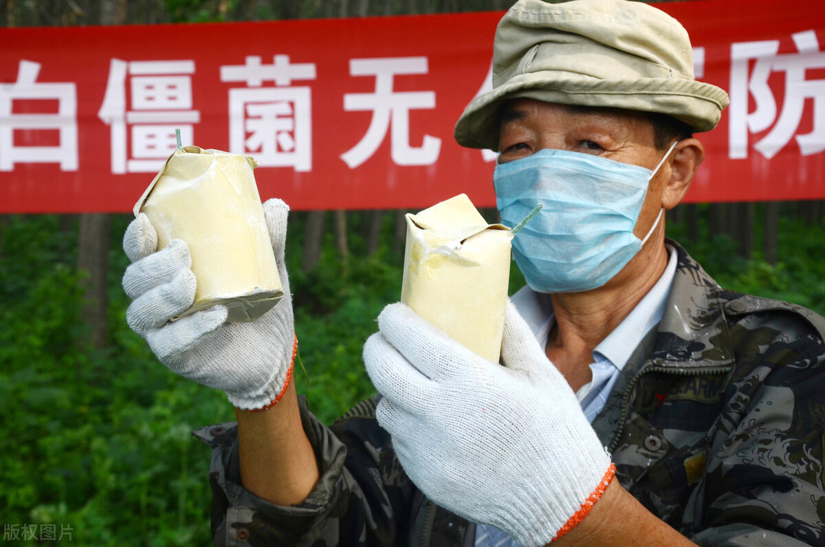 蔬菜无农药除虫药,蔬菜长虫了又不想打农药该怎么办