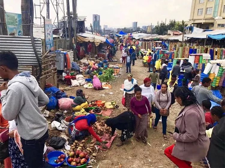 「东郊」5万人民币能干嘛？而我却能带你周游世界！