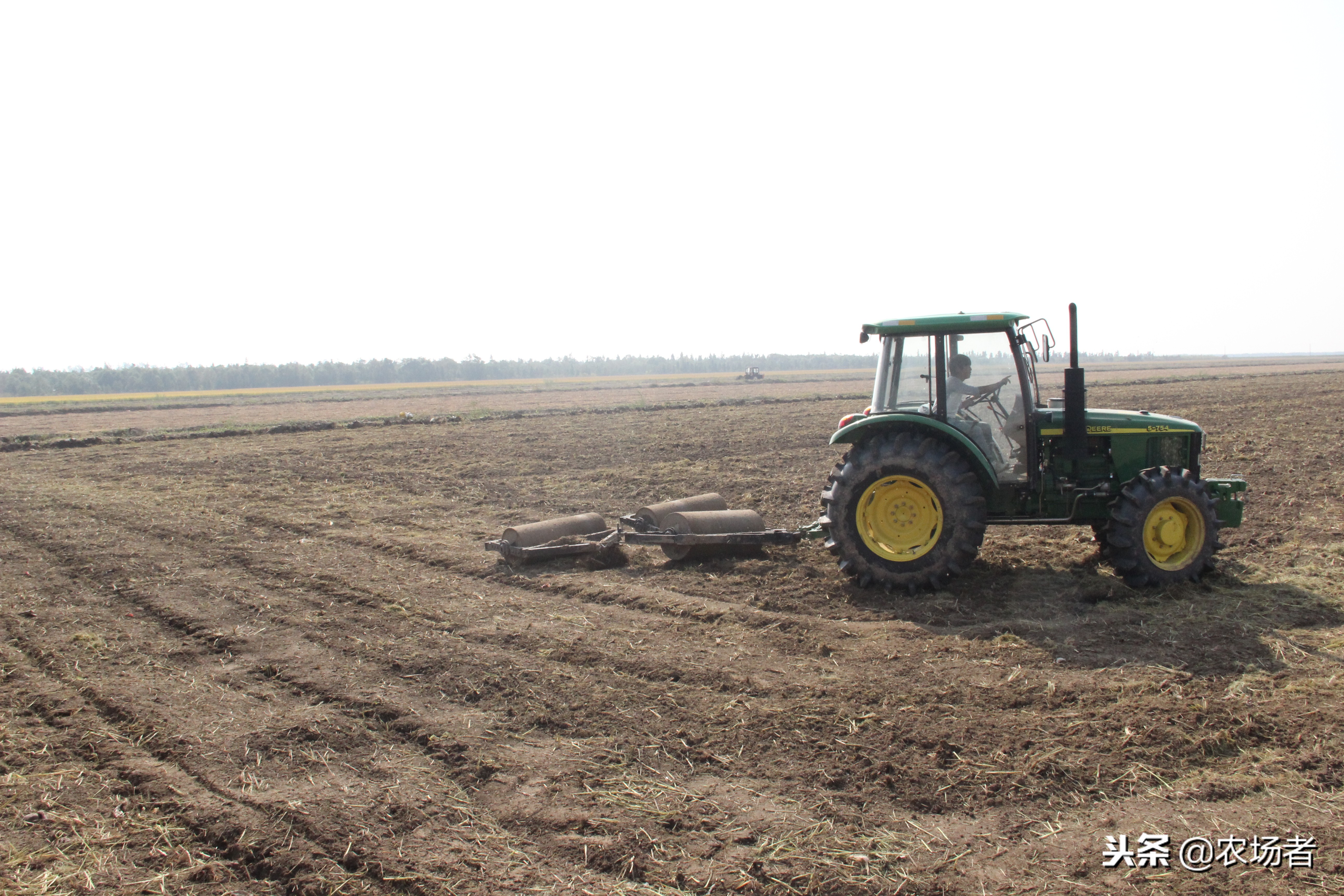 麦子防病何时喷药好,小麦拌种最简单方法