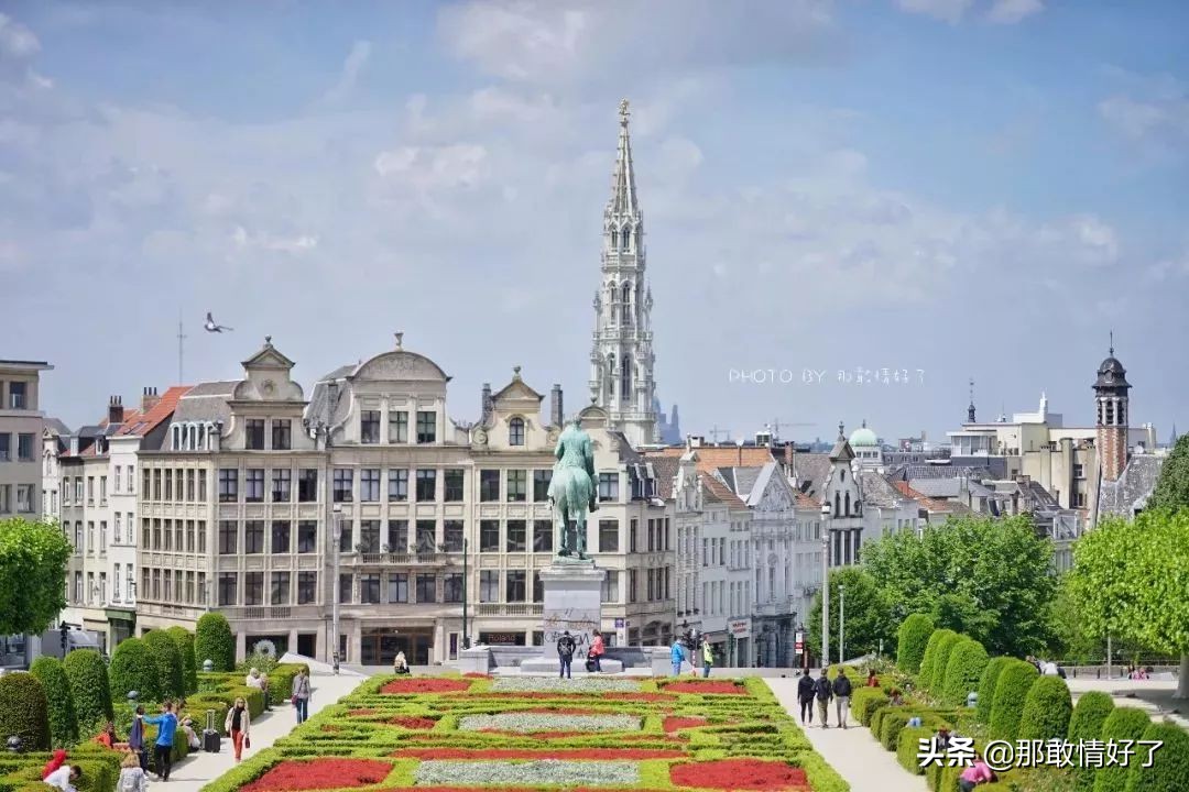 在蓝精灵的故乡邂逅天价纹身*国猪中**，只因我国没有动物保护约束