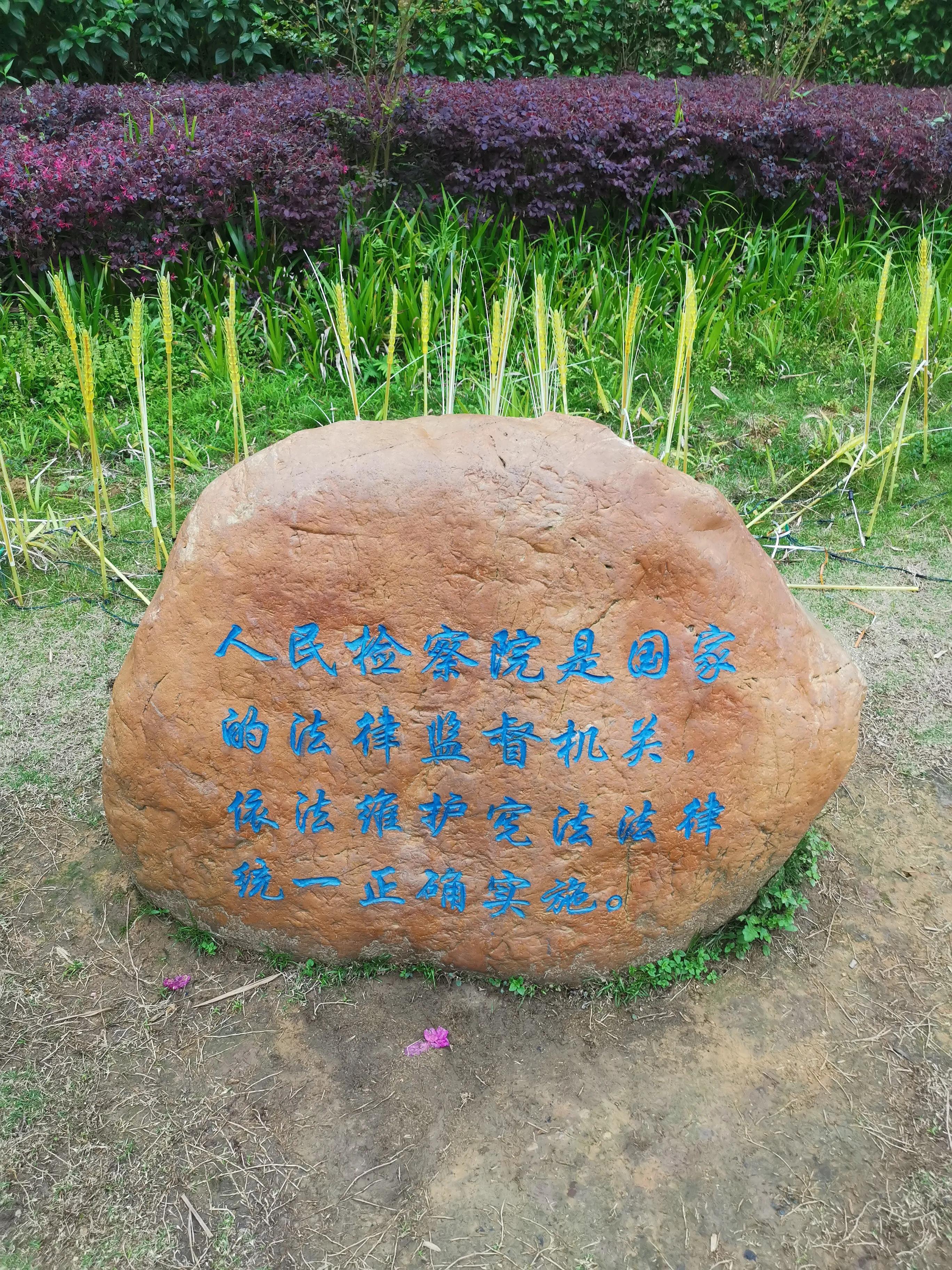 帮助电信诈骗活动罪罚金计算,电信诈骗帮助转移资金判刑怎么判