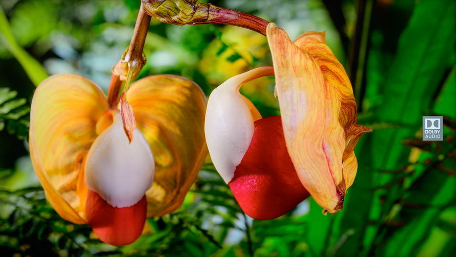 创维酷开p50遥控,创维酷开p50怎么外接音响