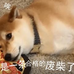 同学生活中搞笑的段子,同学录幽默搞笑段子