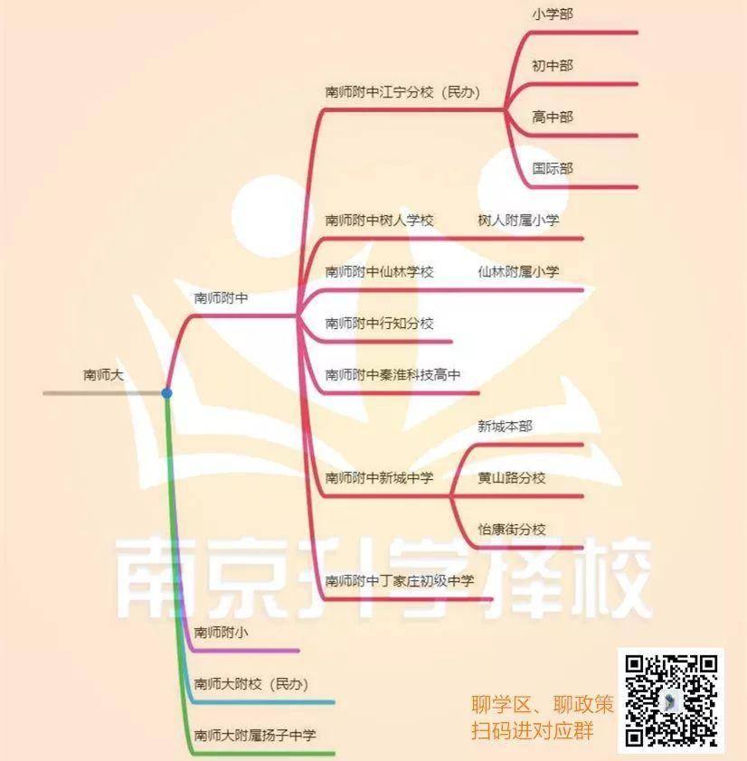 南师附小江宁分校一个班多少人,南师附小江宁分校排名