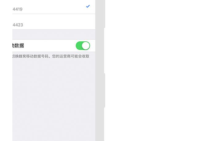 iphone双卡双待的详解,iphone手机怎么使用双卡双待