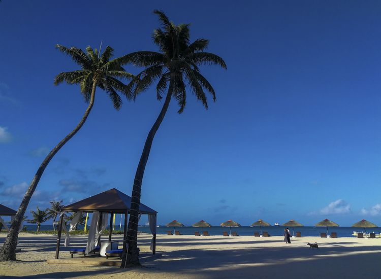 血战太平洋之塞班岛,塞班岛太平洋血战