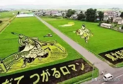 变态的日本农业:敬畏自然、超前思维、死磕单品!