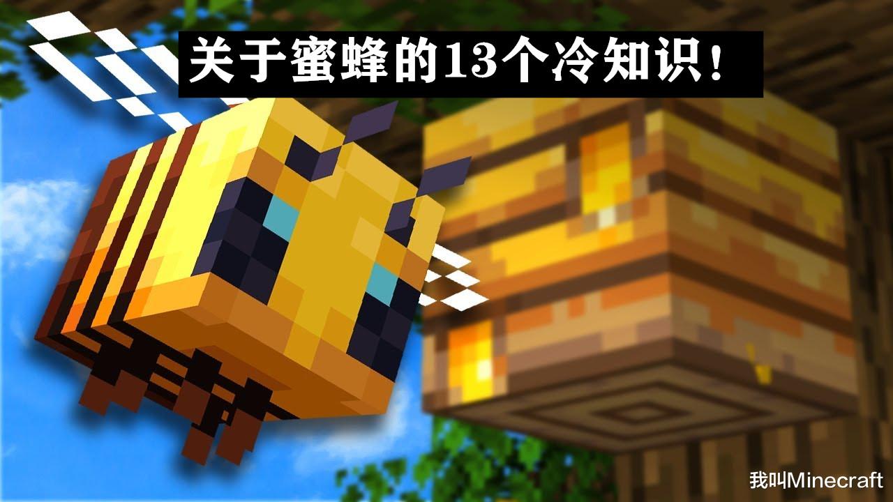 minecraft蜜蜂更新了什么,minecraft蜜蜂维度