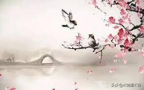 诗经中关于鸟的句子,诗经中寓意美好的鸟