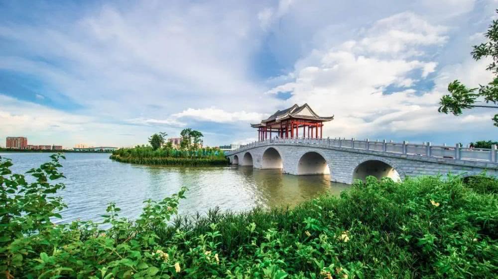 东莞麻涌美丽田园,东莞麻涌田园生活