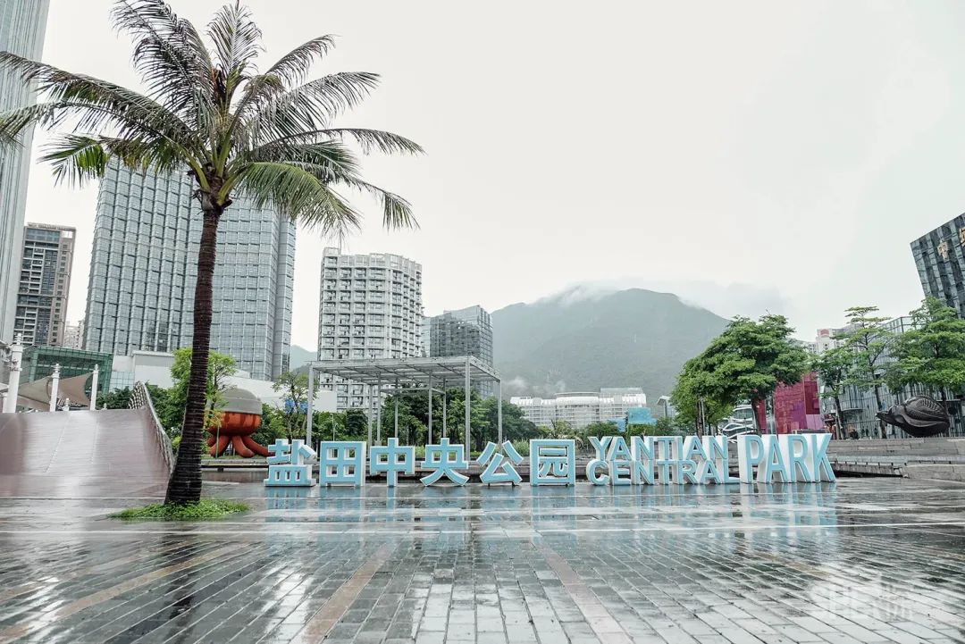 深圳商场爆满,深圳为什么商场那么多