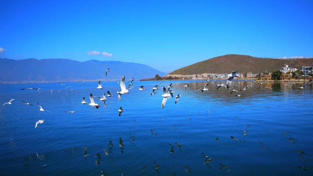广东省最大淡水湖泊排名,广东省内的湖泊名