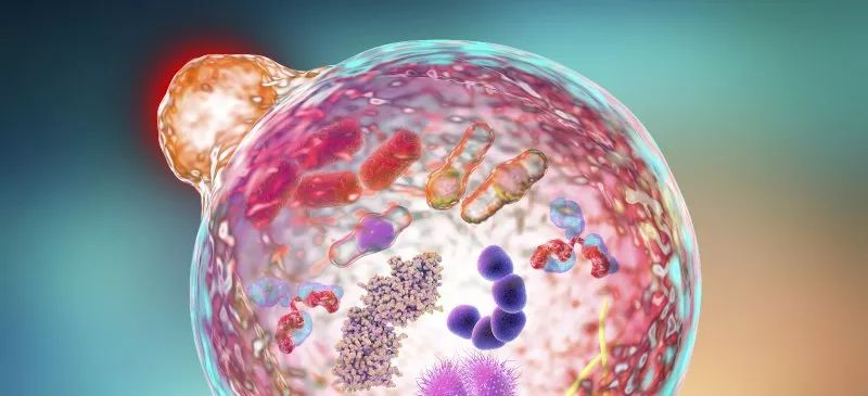 为什么经常生病的人反而活得长久,经常生病的人该怎么办