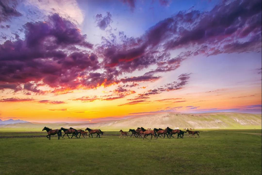 起床号晨曲,起床号歌唱祖国