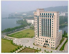 中国信科集团烽火通信,中国信科集团在央企排名