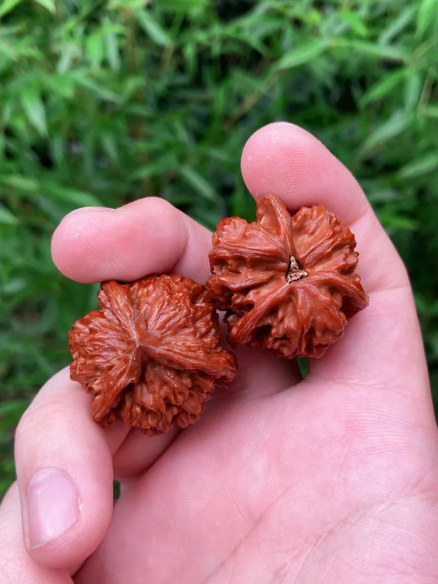 玩珠子有什么讲究吗,玩珠子