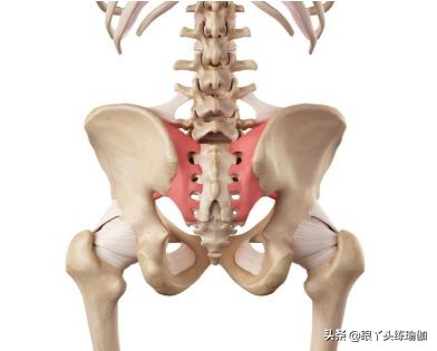 躺下腰痛时骶髂关节痛怎么处理,腰痛屁股痛脚痛是不是肾虚引起的
