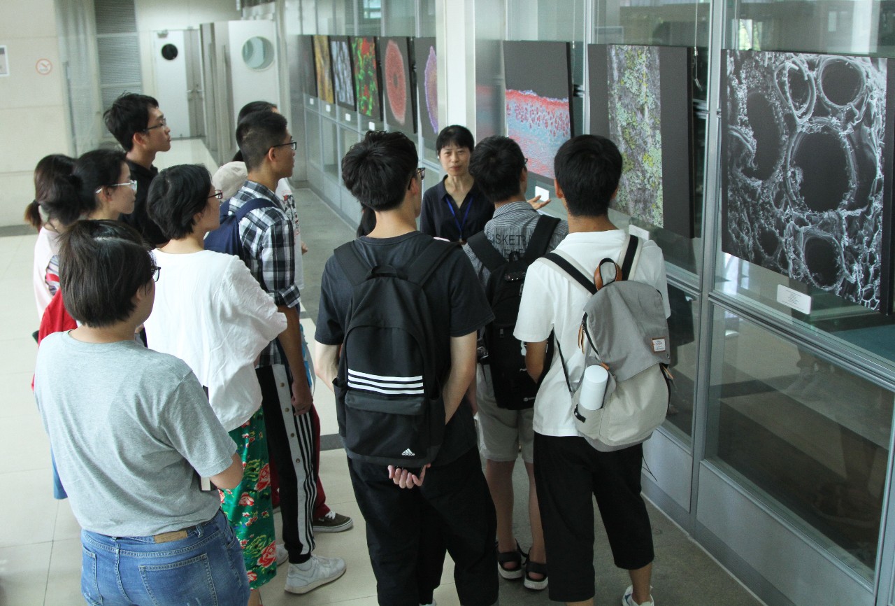 浙大紫金港图书馆对外开放吗,浙大图书馆24小时开放吗