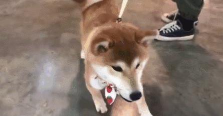 不想说再见深圳,广州地王广场现在如何