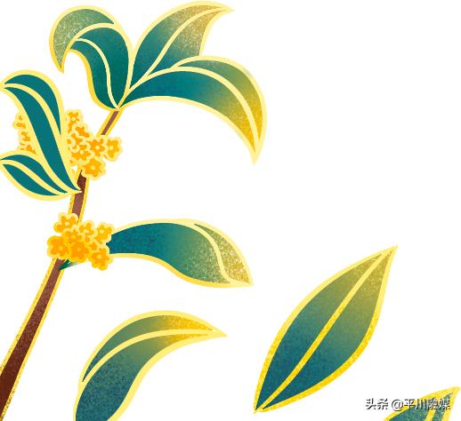 开发区关爱老人温暖重阳,重阳敬老情温暖老人心图片