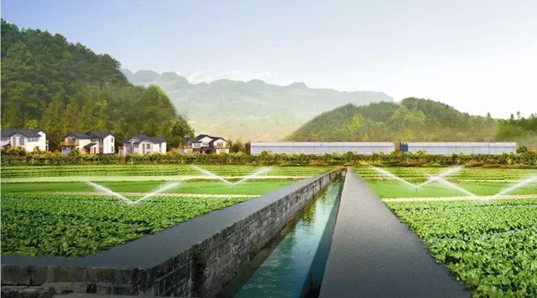 化肥农业曾经的希望，为什么被称为“土地*片鸦**”？都好好看看吧