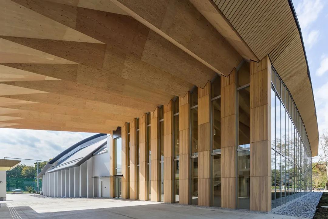 什么是lvl板材,lv材料介绍