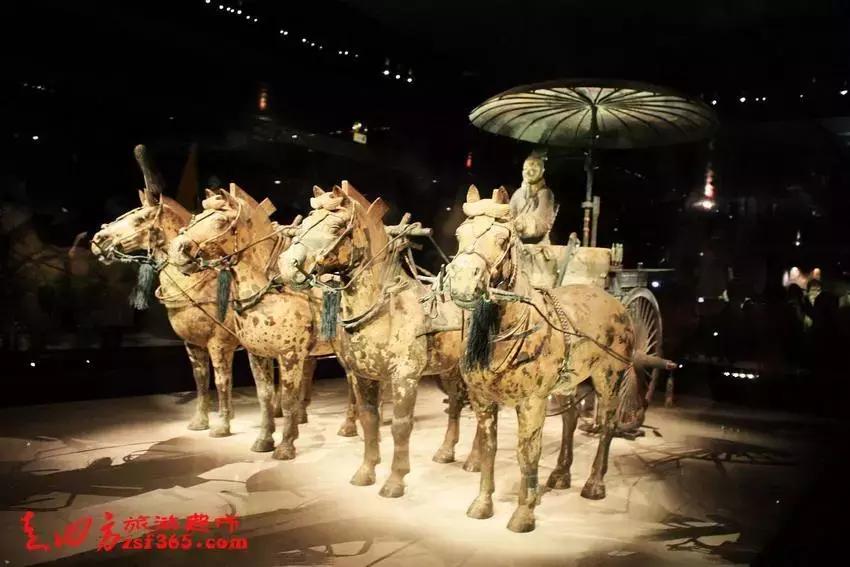 兵马俑文官俑解说,兵马俑解说员马导