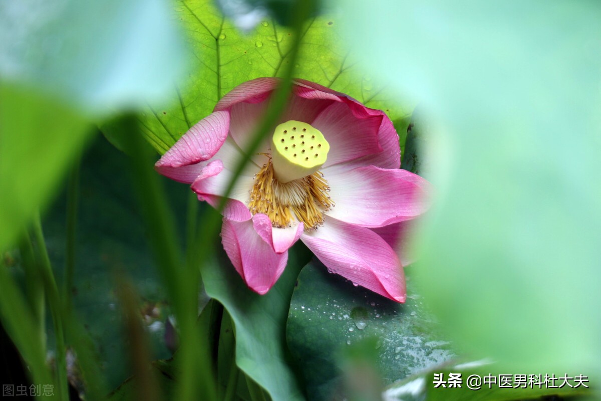 哪些行为可以改善肾气,哪些习惯哪些行为可以补肾