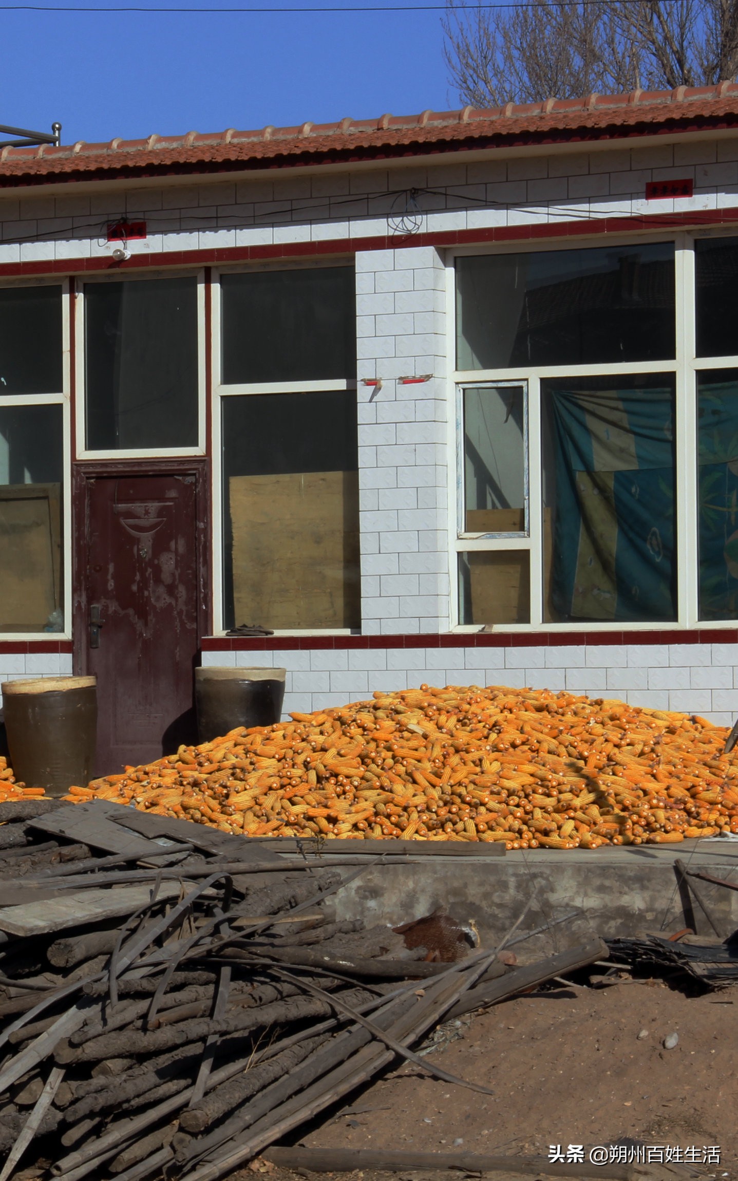 朔州：张耀元宅家随笔五则