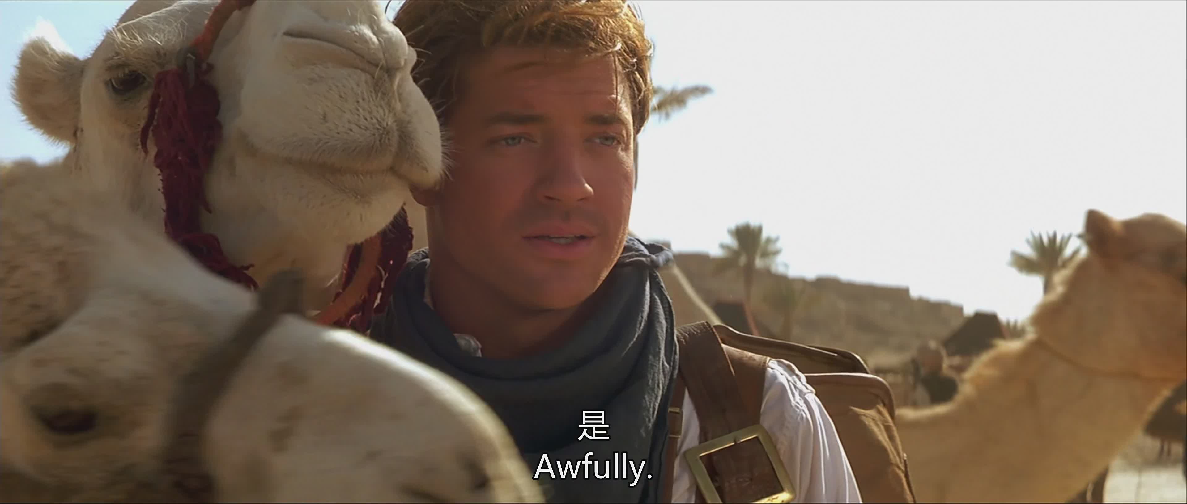 木乃伊最最精彩的部分,木乃伊最喜欢的是什么