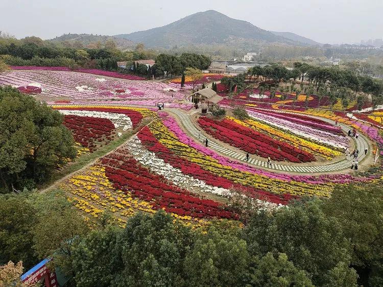 蚌埠市十大网红,蚌埠城市魅力排行