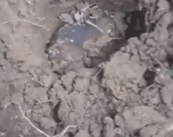 你和千万富翁之间的差距有哪些,你与千万富翁之间的距离