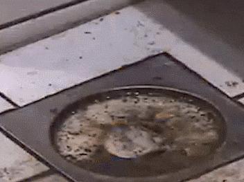 给你70万,拿一百万没有手机你愿意吗