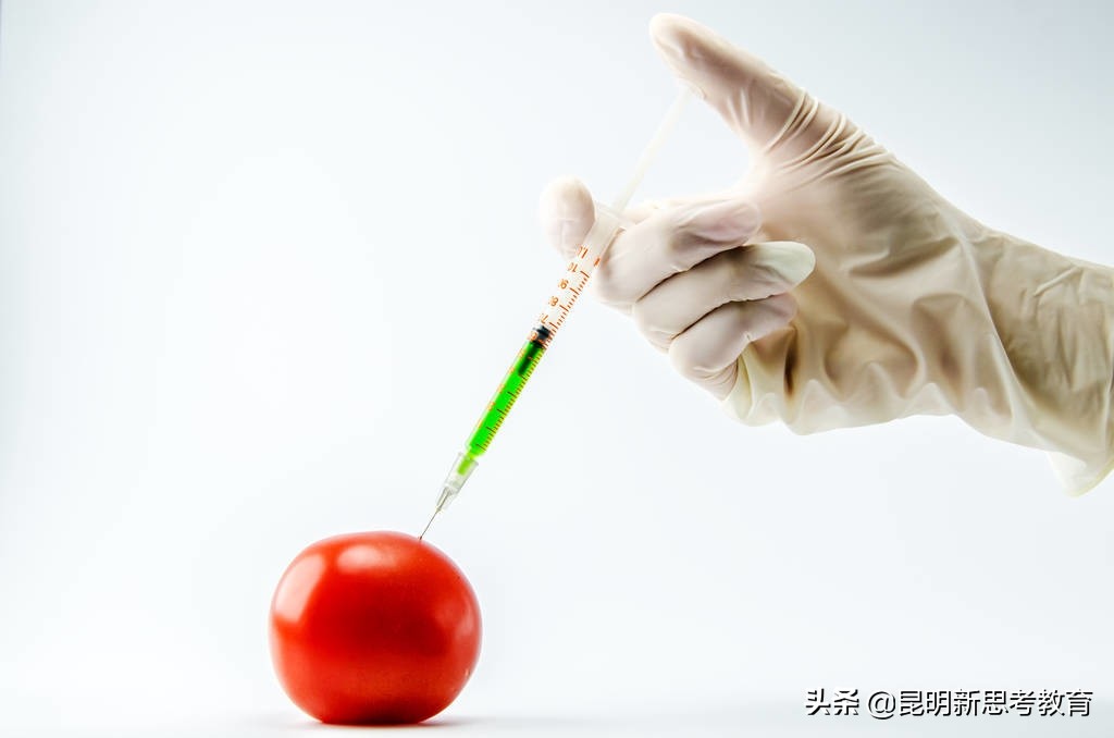 初三化学蛋白质知识点,初三化学实验必背知识点