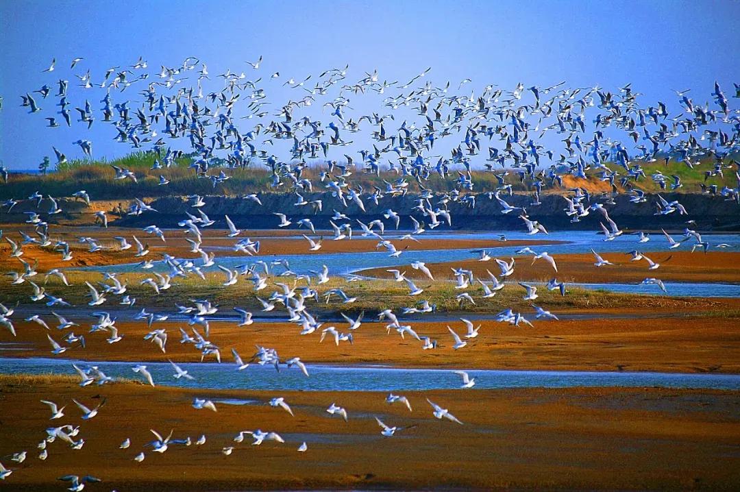 威海南海新区怎么样,威海南海新区值得投资房产