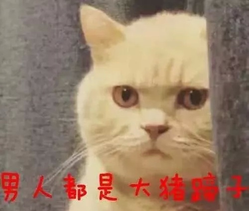 大猪猪蹄子脱落如何护理,大猪皮肤病治疗的最佳方法