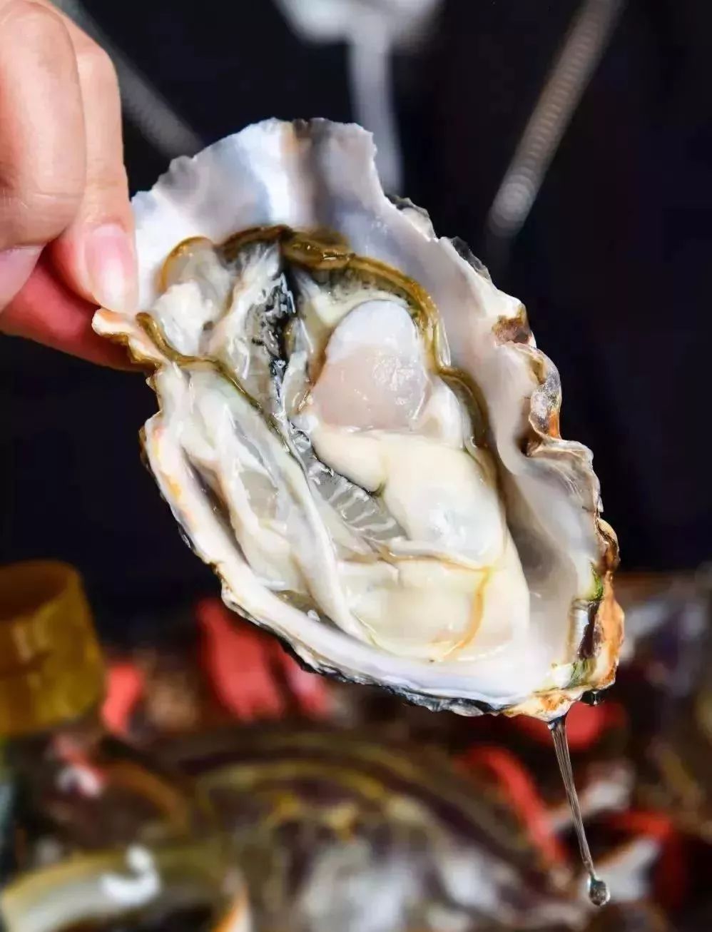 昆明火锅自助餐推荐排行榜,昆明自助餐海鲜烤肉火锅