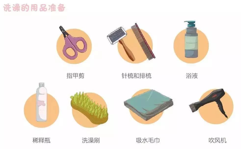 多久给猫咪洗一次澡猫咪洗澡攻略,猫咪一年洗两次澡