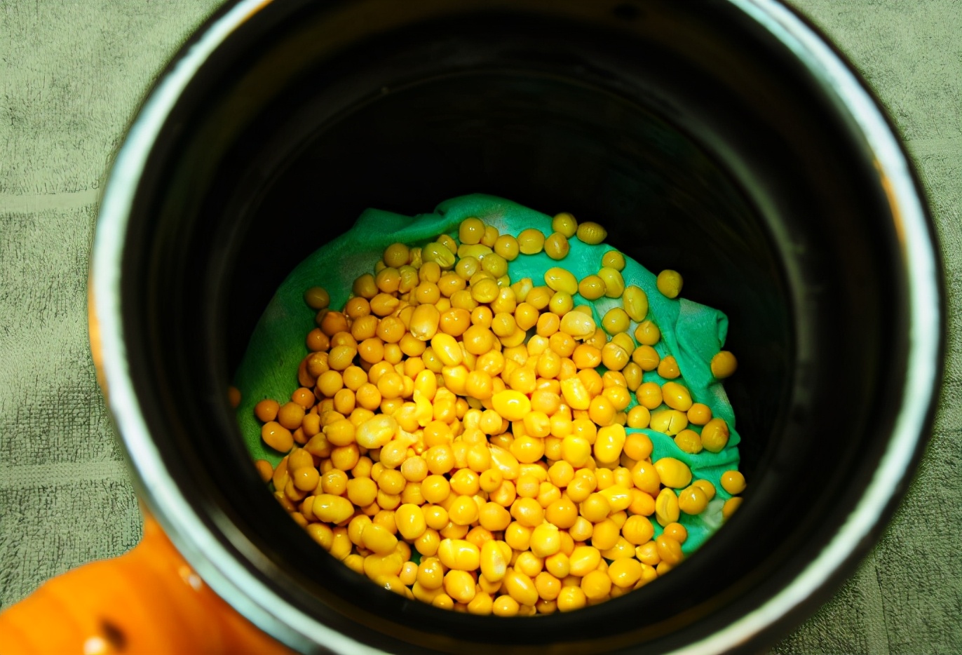 学会这个方法再也不用买豆芽了,豆芽不用买用塑料瓶就能发豆芽