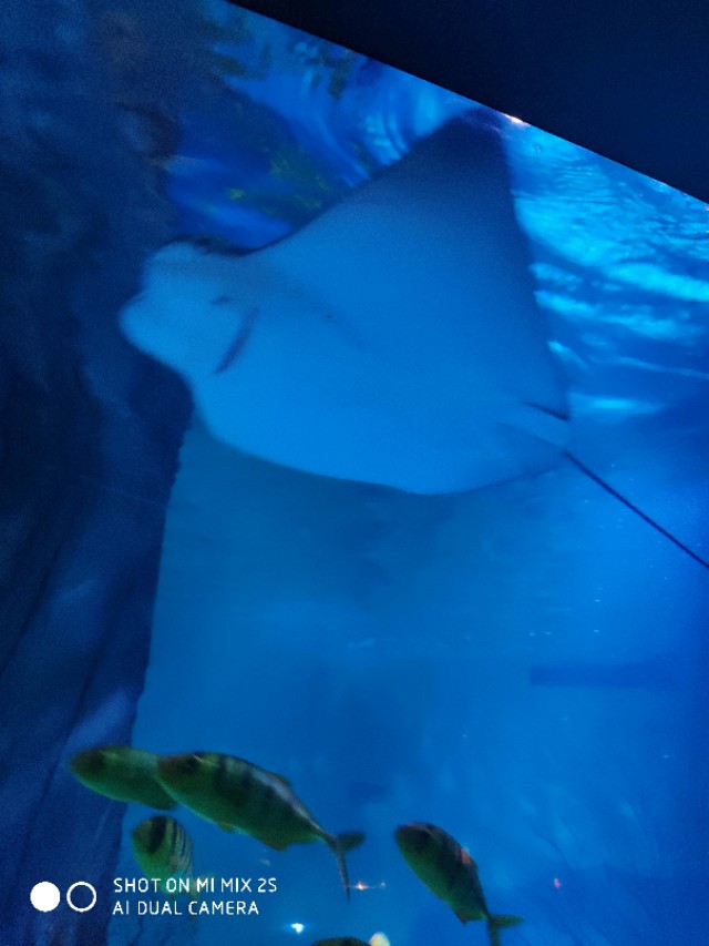 南京海底世界开放时间,南京海洋公园海底世界