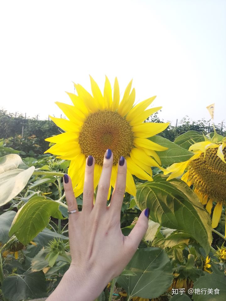 私厨好物分享,私物好物推荐