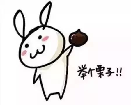 新西兰海关的最新通告,新西兰政府最新规定