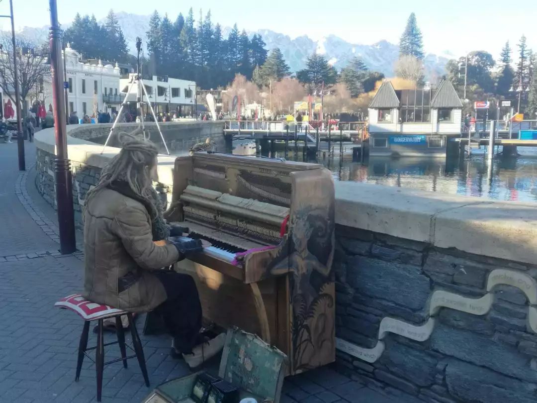 新西兰网红故事,新西兰人真实故事