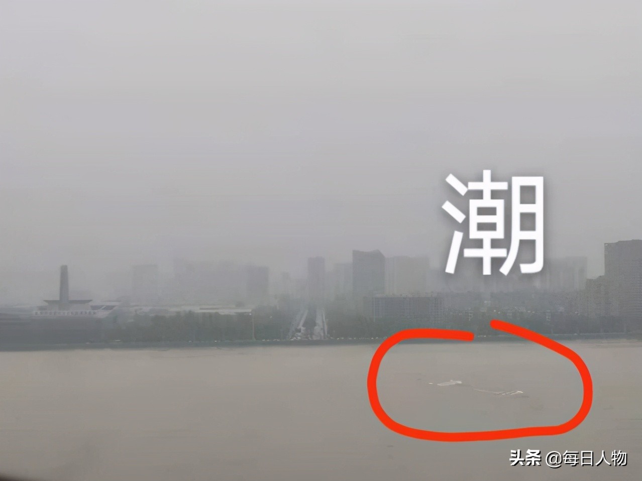 爬两个小时黄山光明顶看日出,登上山顶看美景黄山一日游结束