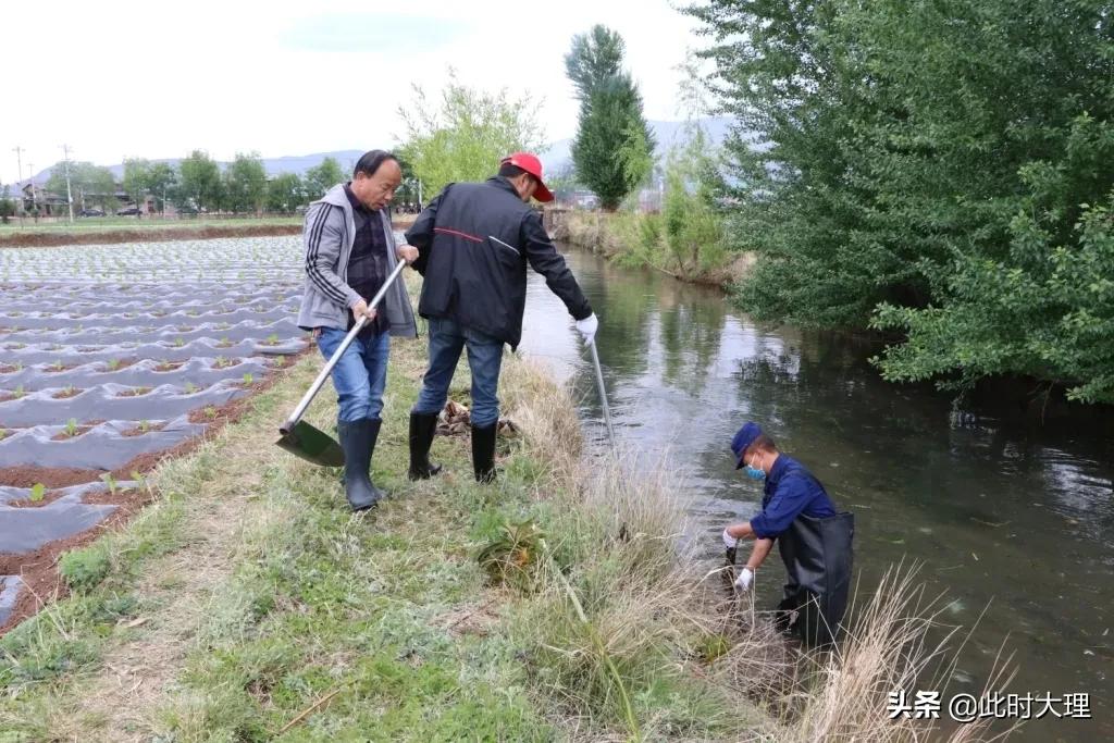 清河行动确保绿水长流,清河行动取得成效